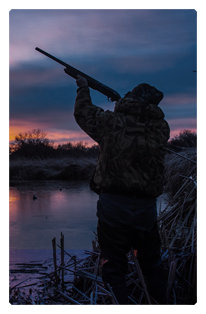 DF35T 303 Hunting